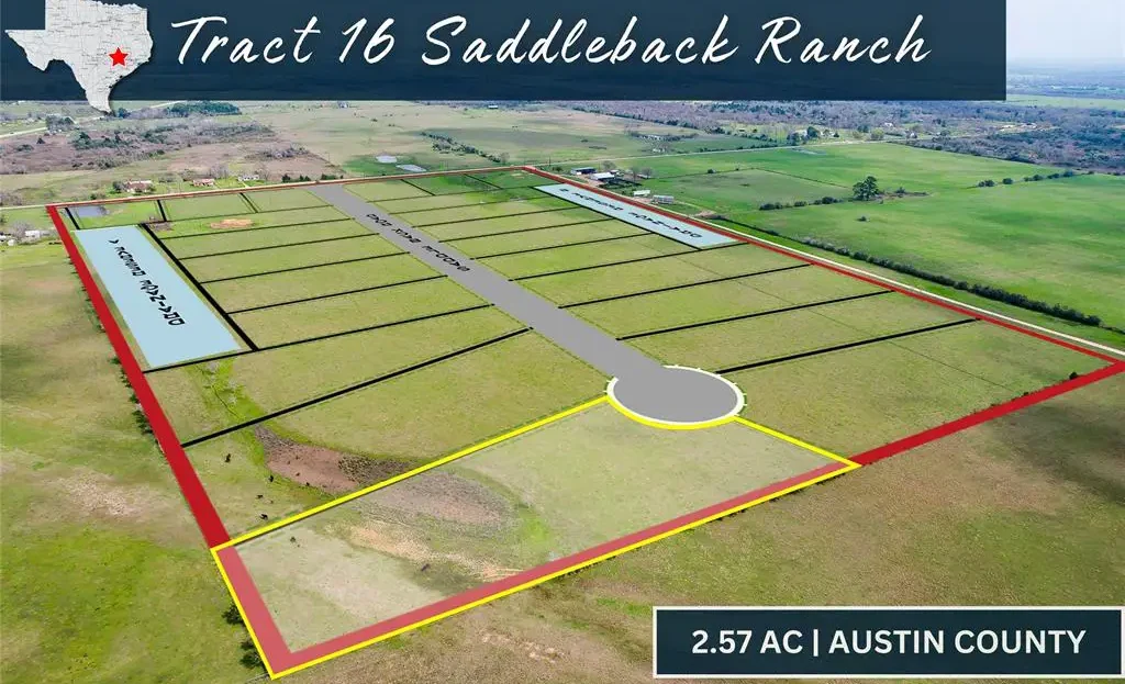 1398 Saddleback Dr.