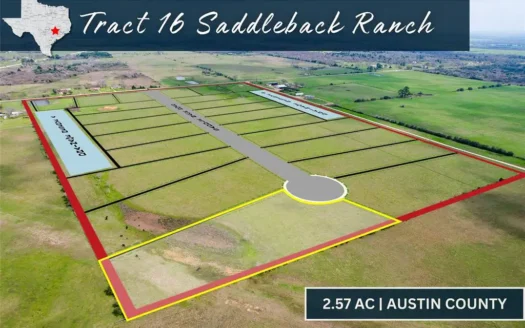 1398 Saddleback Dr.