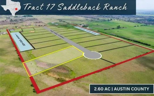 1362 Saddleback Dr.